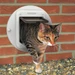 Cat Mate Elite
