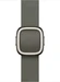 Apple Modern Buckle