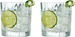 Leonardo Gin