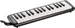 Hohner Melodica Student 32