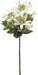Botanic-Haus Edelweiss