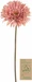 Botanic-Haus Gerbera