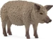 Schleich Wollschwein
