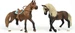 Schleich Horse Club "Paso Peruano" Starter-Set