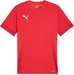 Puma teamGOAL Matchday Jersey