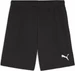 Puma teamGOAL Shorts