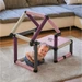 Quadro Home Beginner Berry
