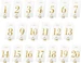 Partydeco Tischkarte Nummern 7 x 12 cm, 20 Stück, Transparent/Gold