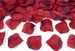 Partydeco Rosen mit dunklem Rand