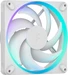 Fractal D. Momentum 14 RGB White