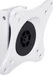 Multibrackets VESA Wallmount 360