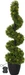 Star Trading Dekorativer Baum Buxbom