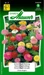 Samen Mauser Zinnia Liliput Mischung