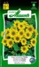 Samen Mauser Zwerg-Sonnenblume Pacino