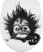 Diaqua Monkey