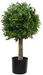 Botanic-Haus Kunstpflanze Buchsbaumkugel Deluxe 25 cm, Produkttyp