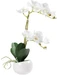 Dekomat AG Kunstpflanze Orchidee im Topf 48 cm, Produkttyp