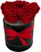 Soli Collection Trockenblumen Rosenbox mit roten Rosen 15 x16 cm