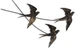 Wallxpert Wanddekoration Schlucken Vogel 42 x 70 cm, Metall