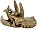 SuperFish Dekoration Schädel Triceratops M, Einrichtung: Figuren