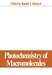 Photochemistry of Macromolecules