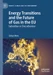 Energy Transitions and the Future of Gas in the EU