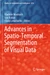 Advances in Spatio-Temporal Segmentation of Visual Data