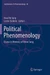 Political Phenomenology