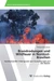 Brandrodungen und Wildfeuer in Nordost-Brasilien