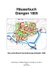 Beiträge zur Stadtgeschichte von Giengen an der Brenz / Häuserbuch Giengen 1805