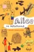 Alice im Nebelland