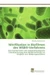 Nitrifikation in Biofilmen des WSB®-Verfahrens
