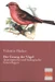 Der Gesang der Vögel