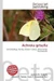 Achroia grisella