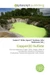Copper(II) Sulfate