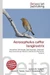Acrocephalus caffer longirostris