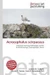 Acrocephalus scirpaceus