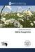 Bellis Longifolia