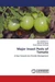Major Insect Pests of Tomato