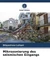 Mikrozonierung des seismischen Eingangs