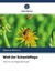 Welt der Schwebfliege