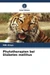Phytotherapien bei Diabetes mellitus