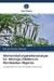 Wertschöpfungskettenanalyse für Moringa Oleifera im Nordwesten Nigerias