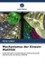 Mechanismus der Kinesin-Motilität