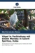 Vögel in Verbindung mit einem Marabu in Sancti Spíritus, Kuba