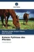 Kutane Pythiose des Pferdes