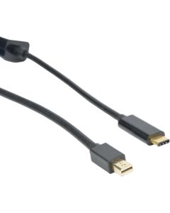 LMP USB Typ C — DisplayPort Image 1