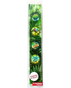 Trendform Magnetbrett Story Box Chameleon 5 x 30 cm Image 1