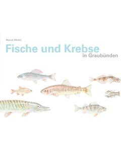 Fische und Krebse in Graubünden Image 1