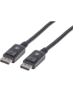 Manhattan DisplayPort — DisplayPort Image 1